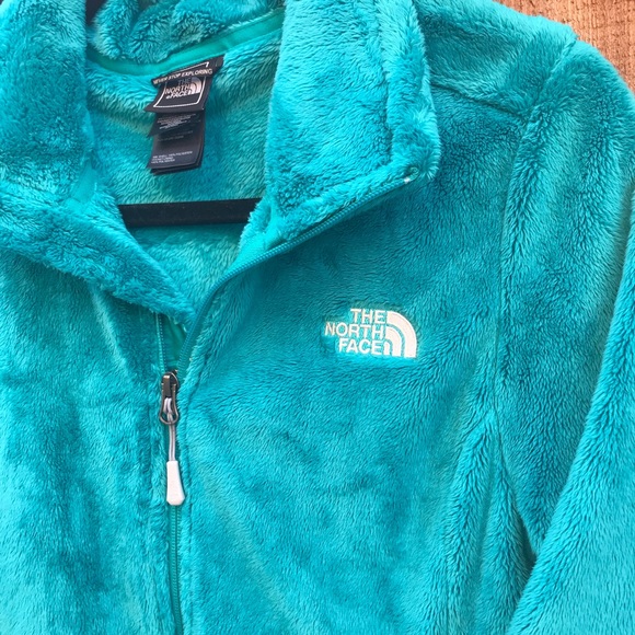 The North Face Jackets & Blazers - Osito Jacket